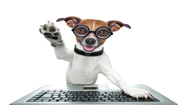 Top 10 Website Eyesores to Avoid